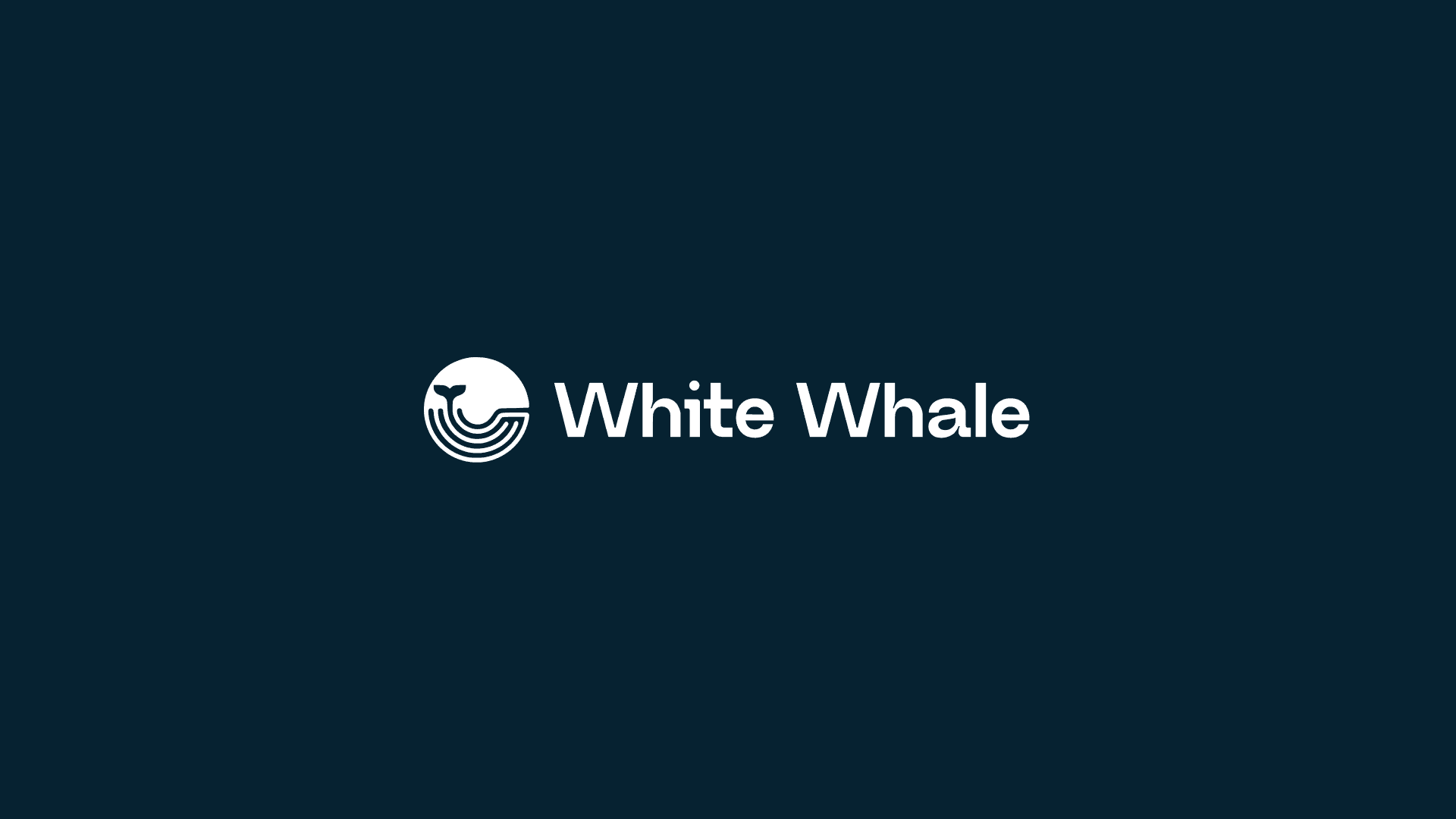 White Whale post image